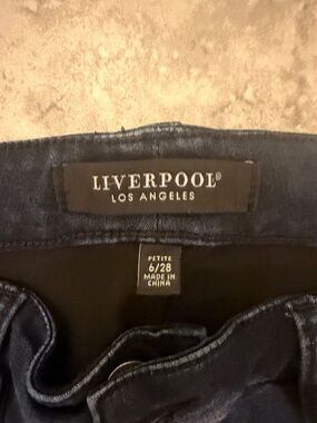Liverpool Jeans Company Petite Skinny Jeans in Dark Blue